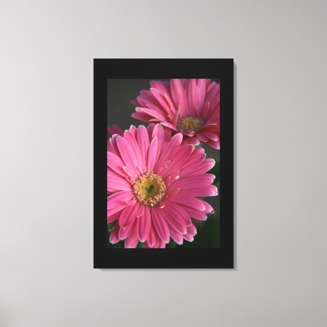 Canvas Art-Rosa-Daisy (Framsida)