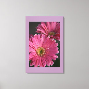 Canvas Art-Rosa-Daisy