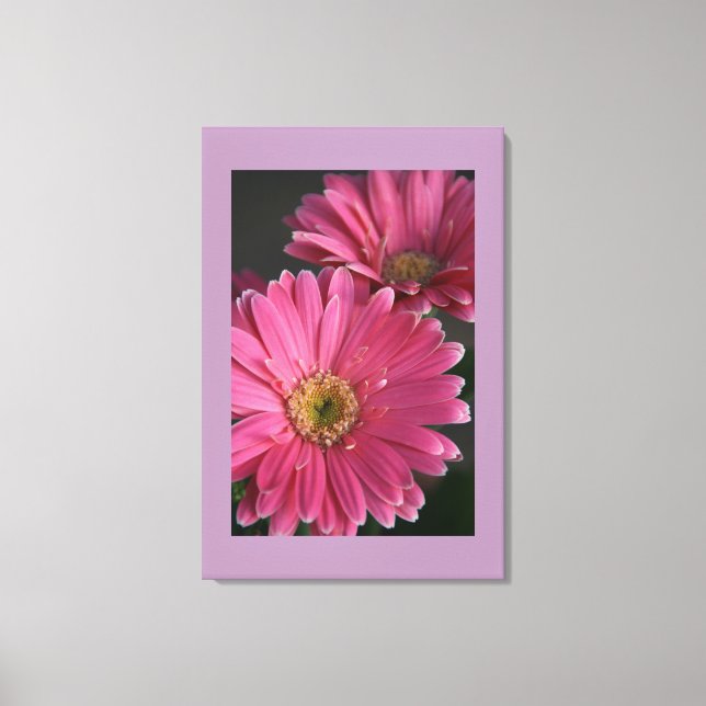 Canvas Art-Rosa-Daisy (Framsida)