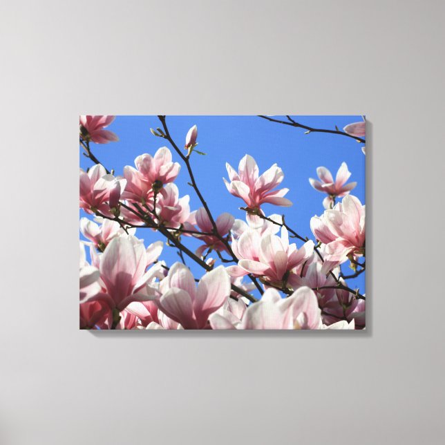 Canvas Art-Rosa Magnolia (Framsida)