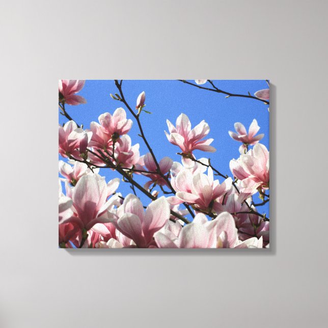 Canvas Art-Rosa Magnolia (Framsida)