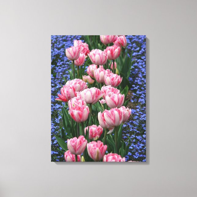 Canvas Art-Rosa Tulips (Framsida)