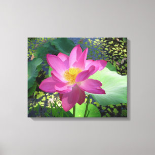 Canvas Art-Rosa Vatten Lily