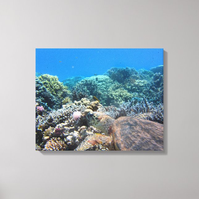Canvas Art-Sea Turtle (Framsida)