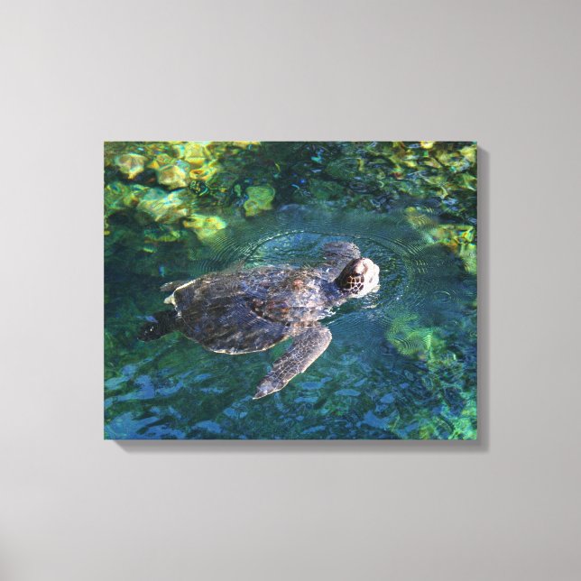 Canvas Art-Sea Turtle (Framsida)