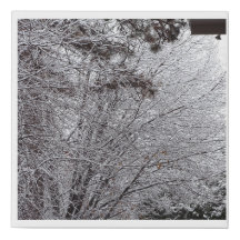 Canvas Art - Senaste vinter