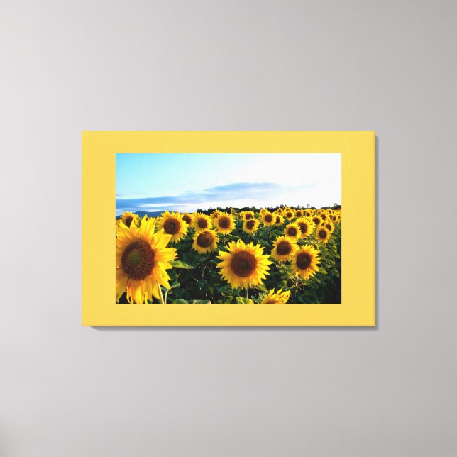 Canvas Art-Sunblommor (Framsida)