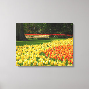 Canvas Art-Tulips
