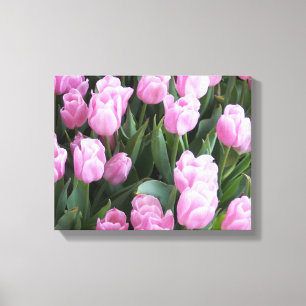 Canvas Art Tulips