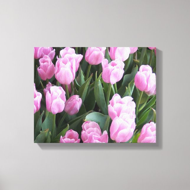 Canvas Art Tulips (Framsida)
