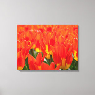 Canvas Art-Tulips