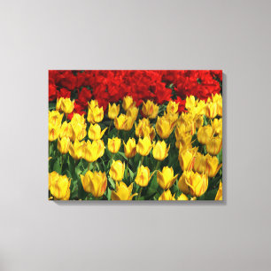Canvas Art-Tulips