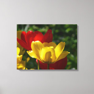 Canvas Art-Tulips