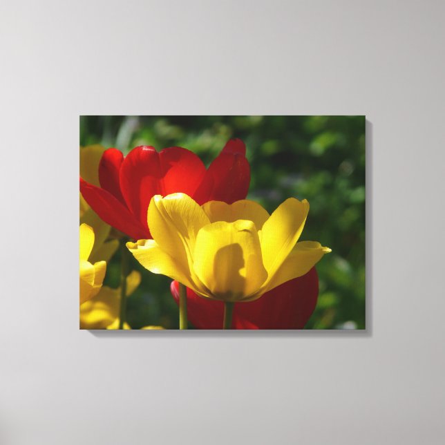 Canvas Art-Tulips (Framsida)
