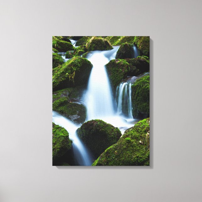 Canvas Art-Waterfall (Framsida)