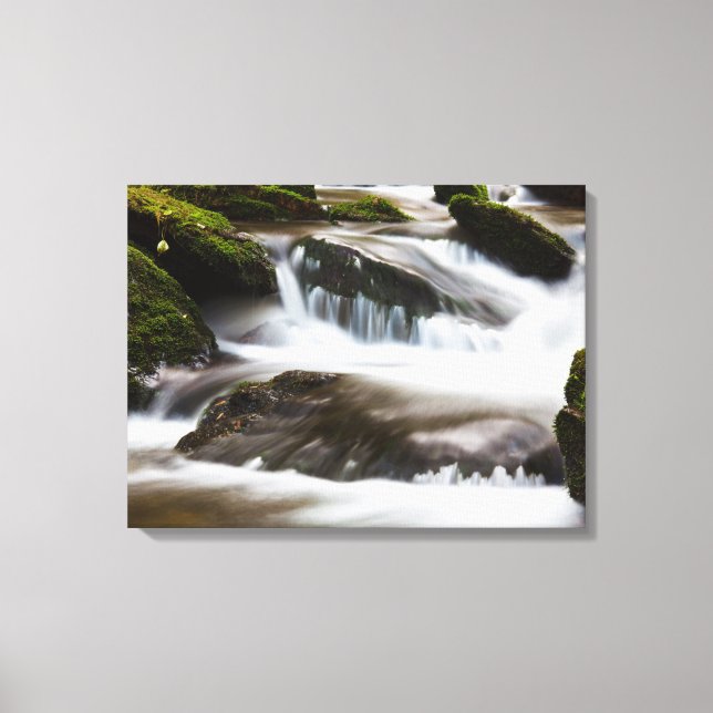 Canvas Art-Waterfall (Framsida)