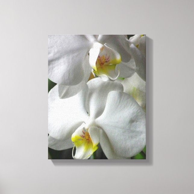 Canvas Art-White Orchids (Framsida)