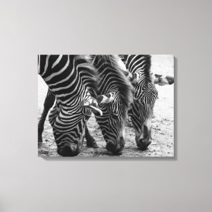Canvas Art-Zebröder