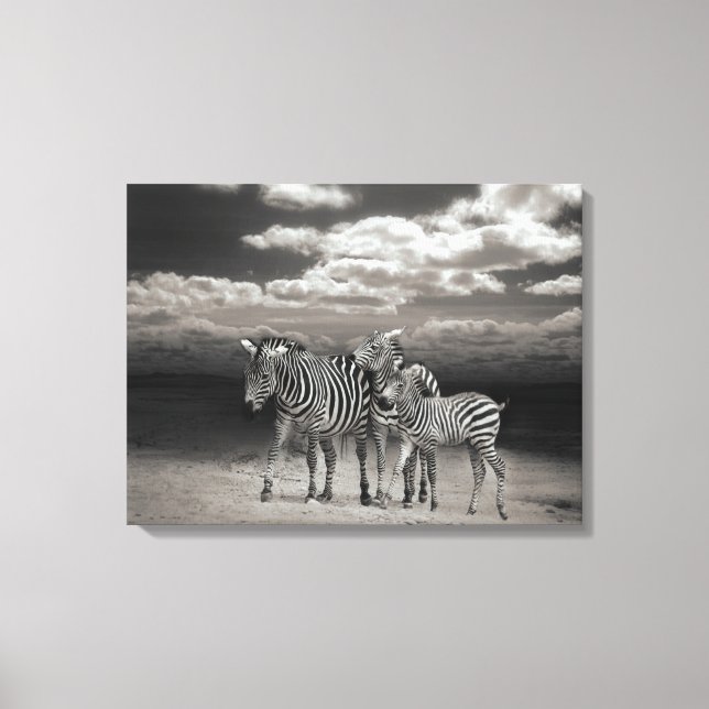 Canvas Art-Zebröder (Framsida)