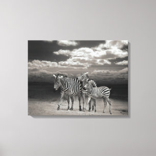Canvas Art-Zebröder
