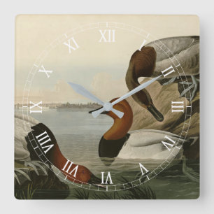 Canvas backade Anka från Audubon Birds of America Fyrkantig Klocka