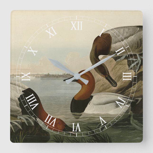 Canvas backade Anka från Audubon Birds of America Fyrkantig Klocka (Framsida)