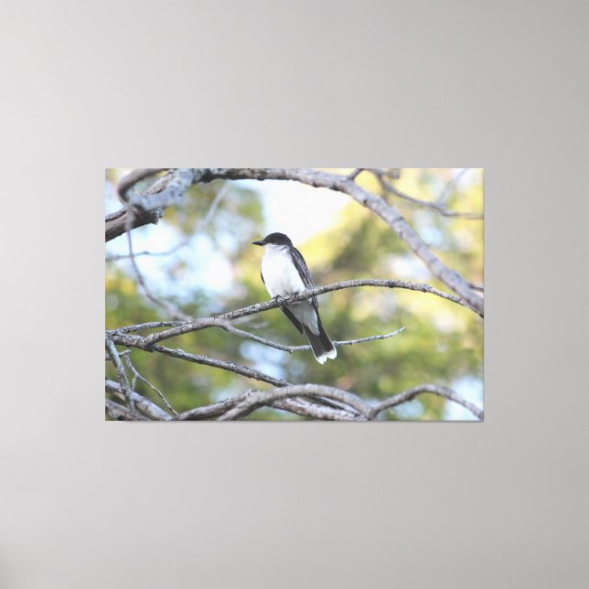 Canvas Bird Art-utskrift (Framsida)