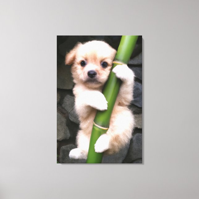 Canvas Cute Puppy Gaejook 개죽이  (Framsida)