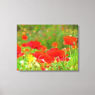 Canvas Fina Konsttryck Florala Röda Vallmos Fleur