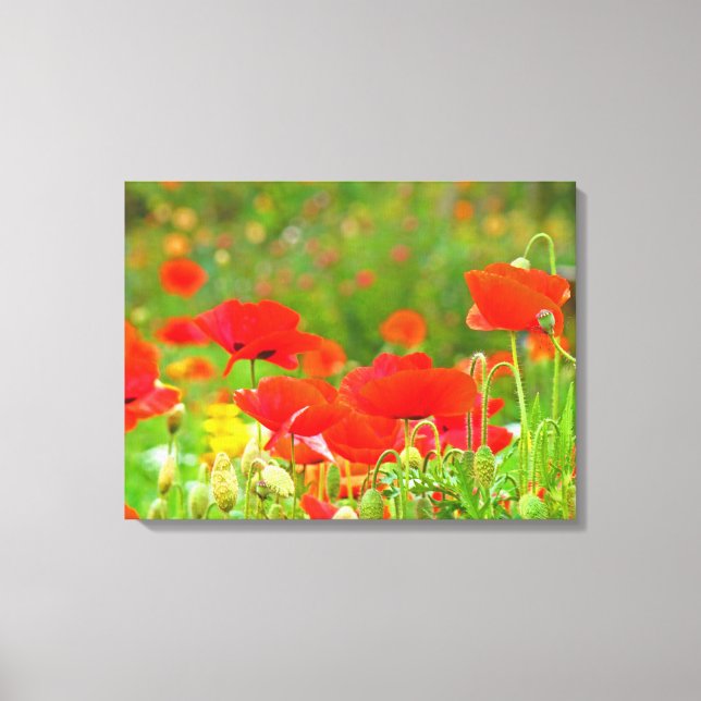 Canvas Fine Art Prages Blommigt Red Poppies Flower (Framsida)