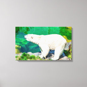 Canvas isbjörn