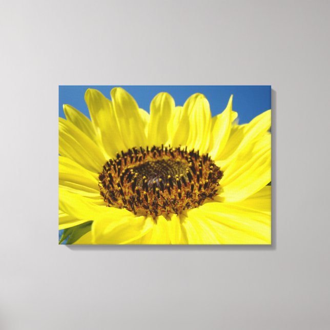 Canvas konsttryck Gula solrosor Blå himmel (Framsida)