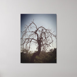 CANVAS-KONT OCH DESIGN STIL CANVASTRYCK