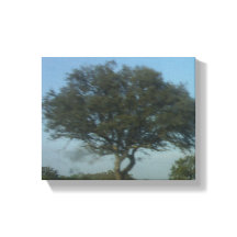 CANVAS-KONT OCH DESIGN STIL