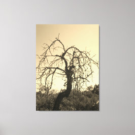 CANVAS-KONT OCH DESIGN STIL CANVASTRYCK