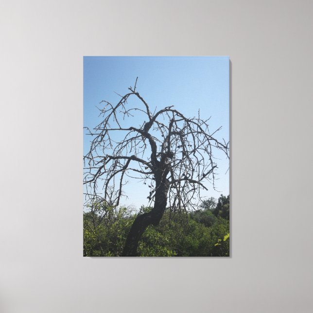 CANVAS-KONT OCH DESIGN STIL CANVASTRYCK (Framsida)