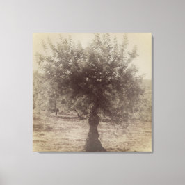 CANVAS-KONT OCH DESIGN WALL CANVASTRYCK