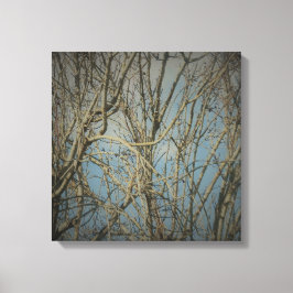 CANVAS-KONT OCH DESIGN WALL CANVASTRYCK