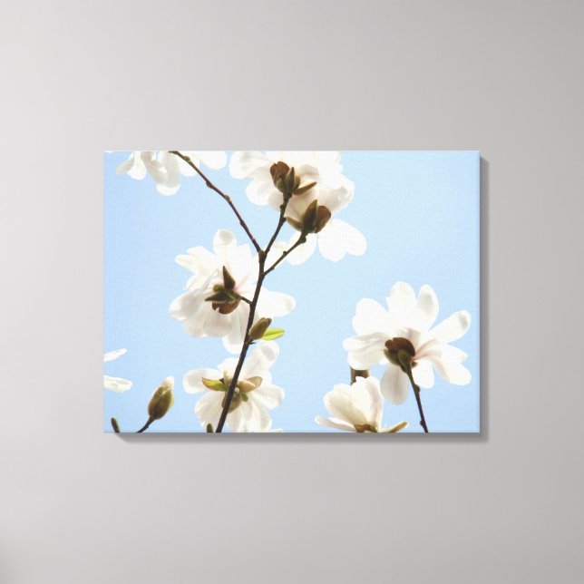Canvas Magnolia Träd Blommar konsttryck (Framsida)