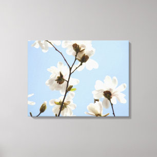 Canvas Magnolia Träd Blommar konsttryck