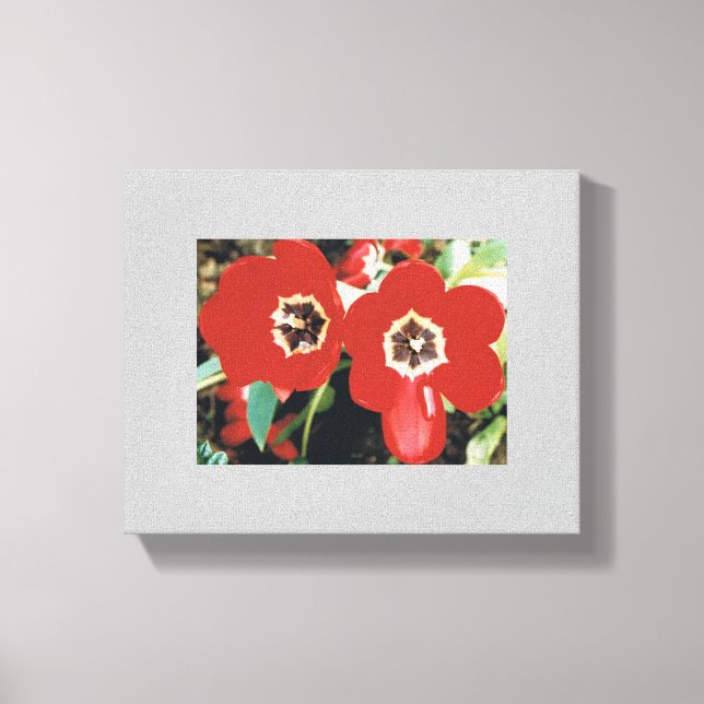 Canvas med röda tulpaner (Framsida)