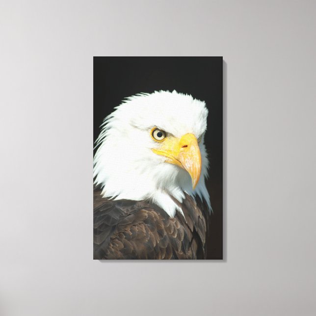 Canvas - Naturörn Fågel (Framsida)
