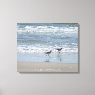 Canvas:Sandpipers på Beach-Topsail-ön NC Canvastryck
