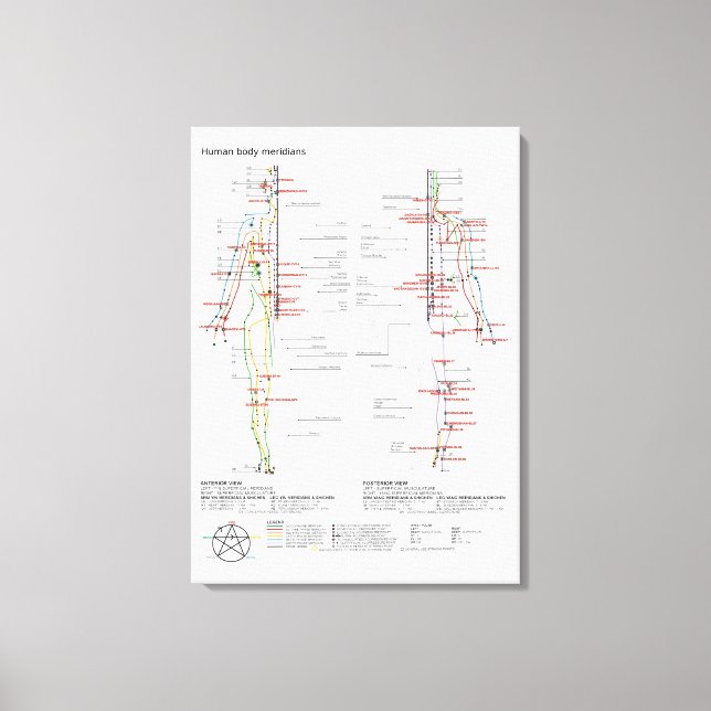 Canvas Schematic Chinese Meridians Musculculature (Framsida)