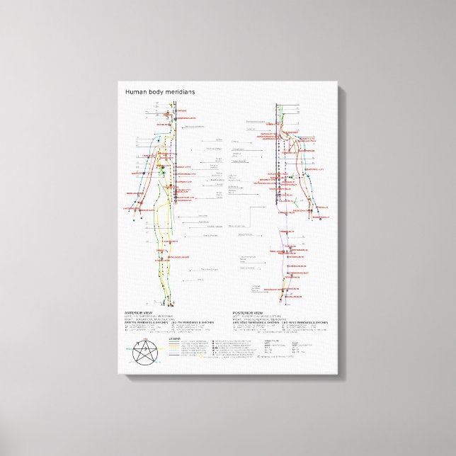Canvas Schematisk Kinesiska Meridianer Muskulatur (Framsida)