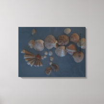 Canvas (SeaShell Dam) RFPMDesigns ©️ 2012