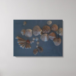 Canvas (SeaShell Dam) RFPMDesigns ©️ 2012