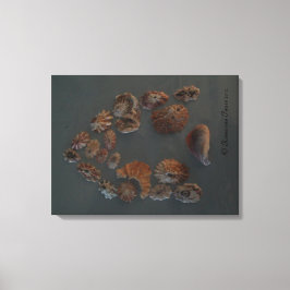 Canvas (SeaShell House) RFPMDesigns ©️ 2012