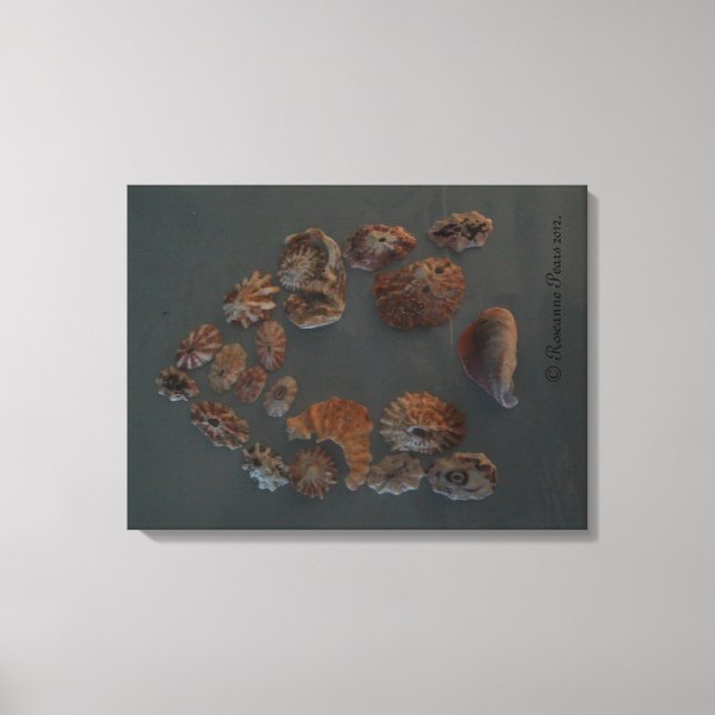 Canvas (SeaShell House) RFPMDesigns ©️ 2012 (Framsida)