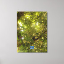 Canvas (Sol Grönt Träd 1) RFPMDesigns ©️ 2021/24